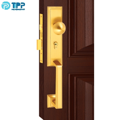 Khóa cửa đại sảnh thau viet tiep 04297
