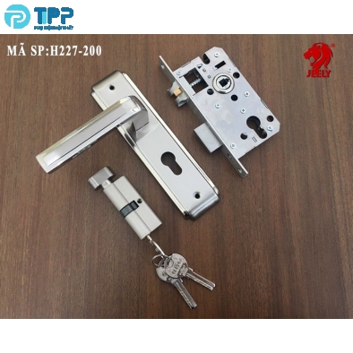 Khóa hợp kim sắt JEELY H227-200 (T20) 